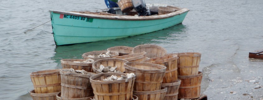 Fisherman oyster shell-planting