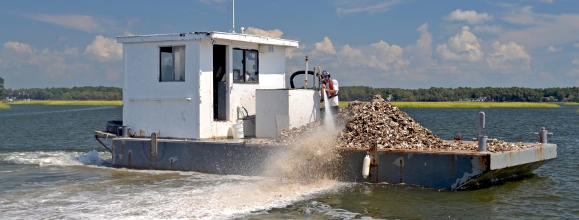 oyster barge cultch planting DSC_2441 (3)