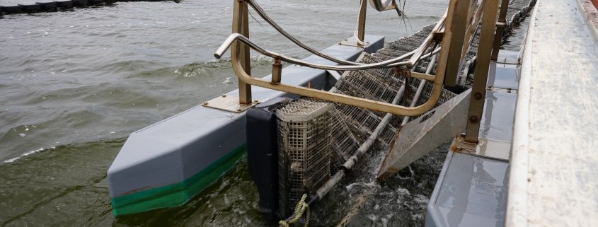 Slash Creek Oyster Farm utilizes their new flip farm gear out on oyster lease