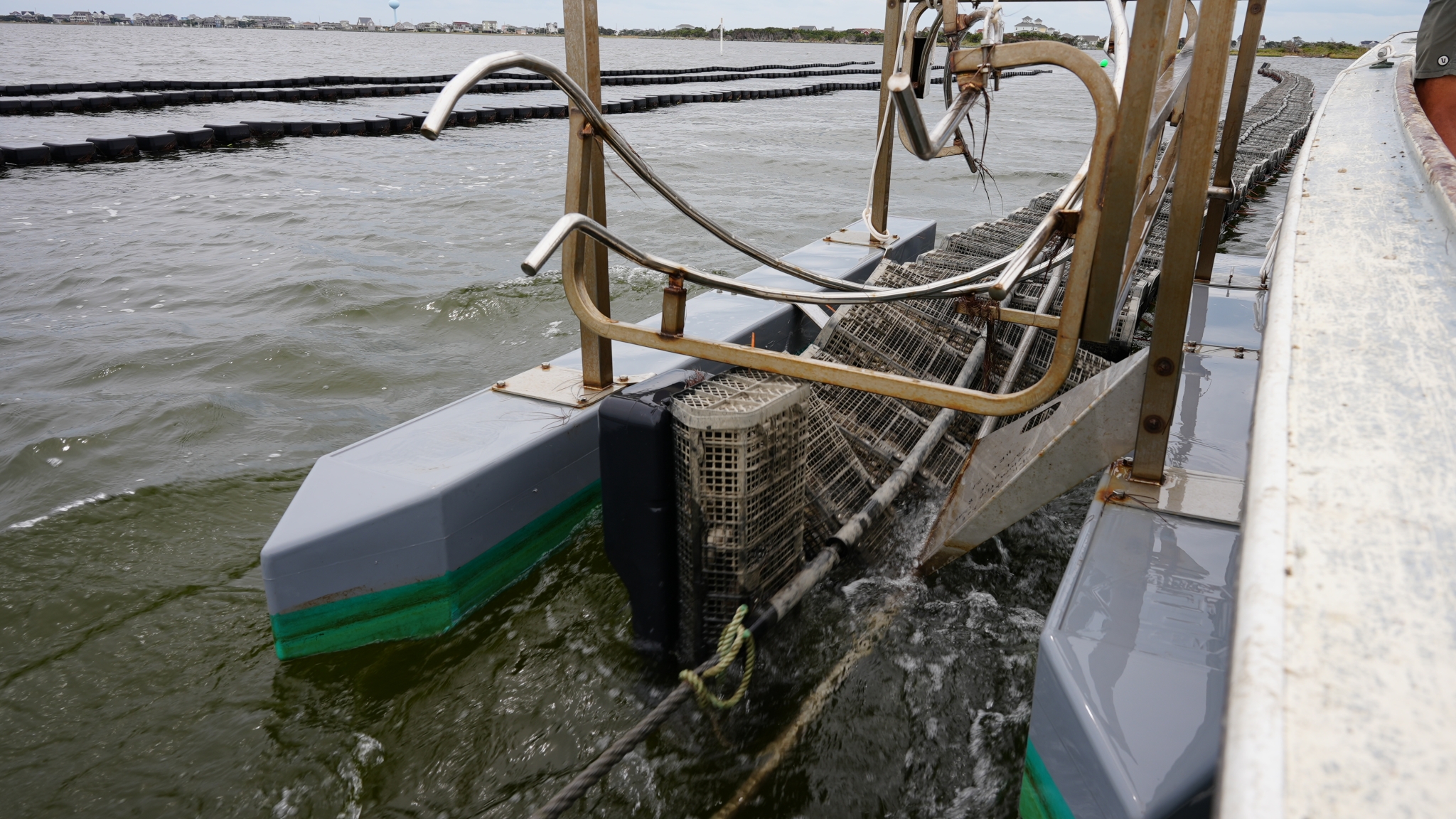 Growing the Oyster Industry Stories From the Coast North Carolina